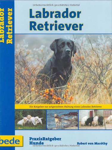 Labrador Retriever, Praxisratgeber