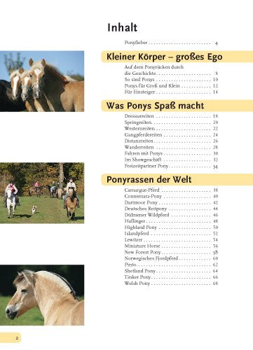 Alles über Ponys: Rassen, Haltung und Pflege, Reiten und Fahren