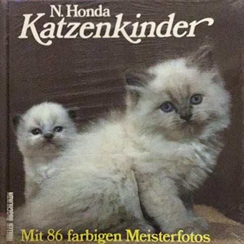 Katzenkinder