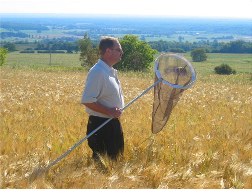 Die Reise des Schmetterlings - Das Geheimnis des Monarchfalters