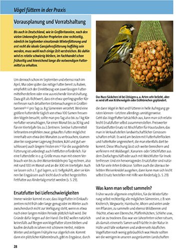 Vögel füttern - aber richtig: Anlocken, schützen, sicher bestimmen