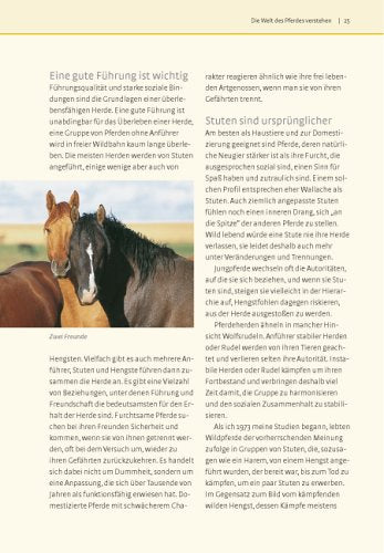 Was Pferde wirklich brauchen