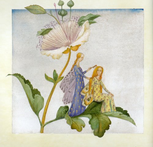 Das kleine Buch der Feen und Elfen