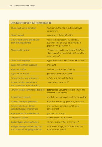 Was Pferde wirklich brauchen