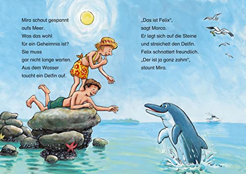 Die schönsten Delfingeschichten für Erstleser: Leselöwen - Das Original - Kinderbuch zum ersten Selberlesen ab 7 Jahre