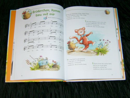 Die kunterbunte Schatzkiste Lieder und Gedichte für die ganze Familie