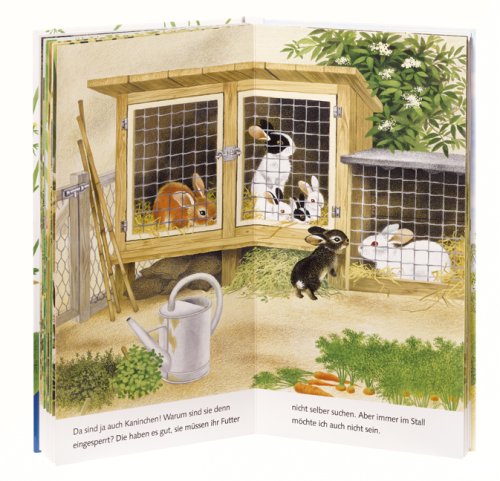 Ich bin das kleine Kaninchen