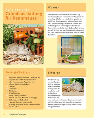 Rennmäuse: halten & pflegen, verstehen & beschäftigen