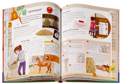 Mein außerordentlich fabelhaftes Buch über Pferde und Reiten