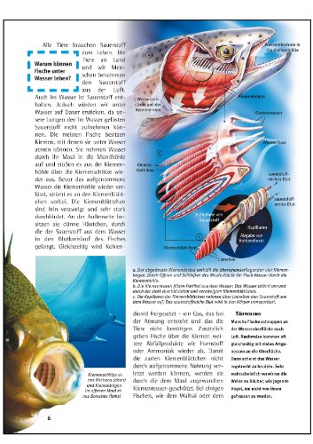 Was ist was, Band 041: Fische