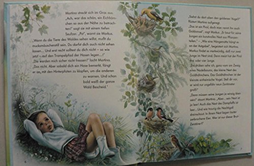 Entdeck mit uns die Tiere im Wald!