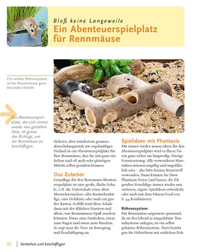 Rennmäuse: halten & pflegen, verstehen & beschäftigen