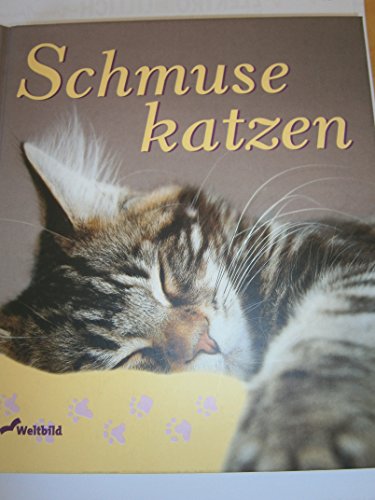 Schmusekatzen