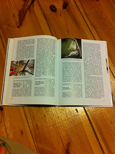 Natur erforschen und schützen (Was ist was, Band 68)