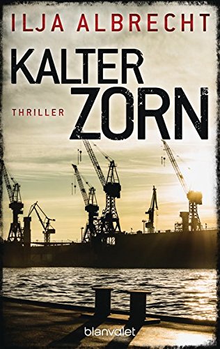 Kalter Zorn: Thriller