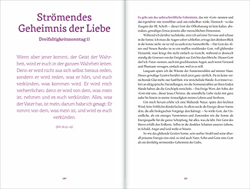 Die Schießler-Bibel: Kraft für alle Lebenslagen