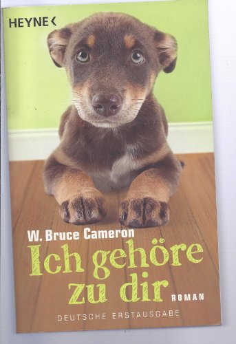 Ich gehöre zu dir: Roman