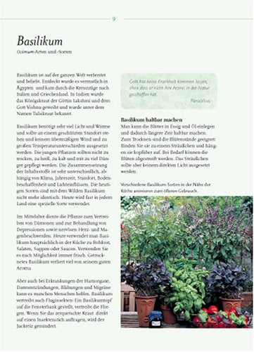 Heilkraft aus dem Garten: Geheimnisse eines Kräutergärtners