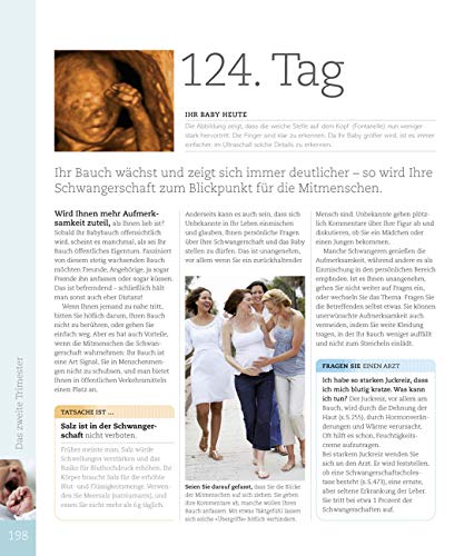 Alles über meine Schwangerschaft Tag für Tag