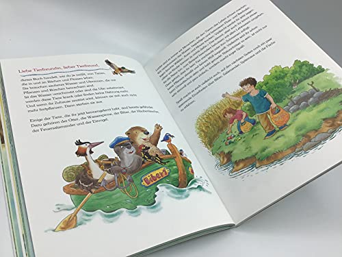 So lebt der kleine Biber und andere Tierkinder-Abenteuer: Drei Geschichten mit vielen Sachinformationen