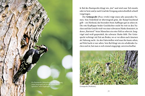 Das große kleine Buch: Unsere Gartenvögel und wie sie sich zu Hause fühlen