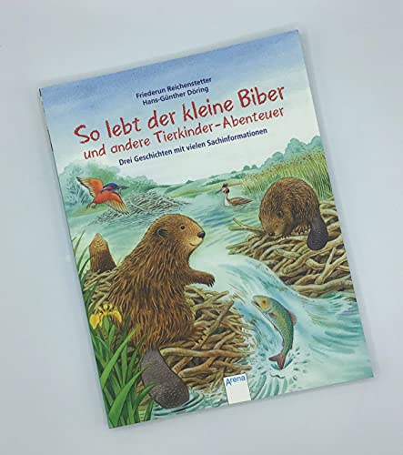 So lebt der kleine Biber und andere Tierkinder-Abenteuer: Drei Geschichten mit vielen Sachinformationen