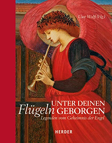 Unter deinen Flügeln geborgen: Legenden vom Geheimnis der Engel