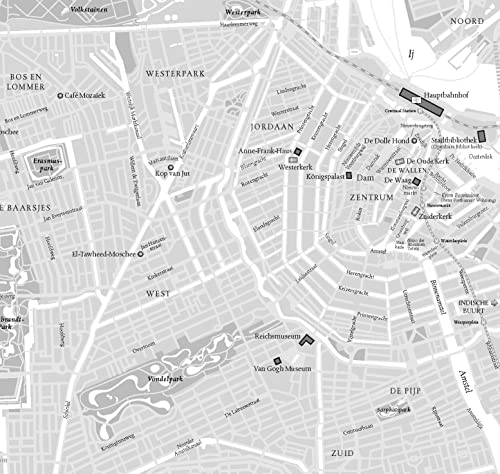 Das Haus der verlorenen Seelen: Der zweite Fall für Pieter Posthumus (Pieter-Posthumus-Serie, Band 2)