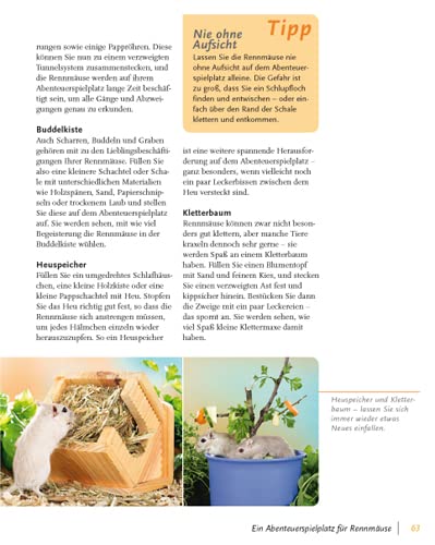 Rennmäuse: halten & pflegen, verstehen & beschäftigen