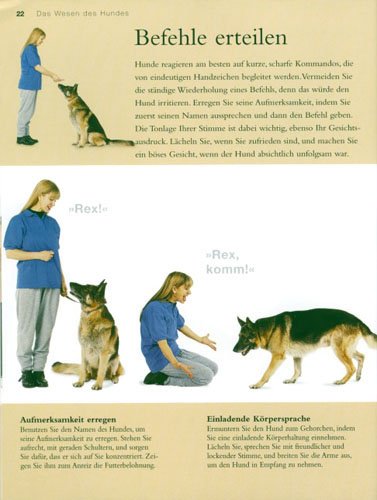 Hunde erziehen: Mein Übungsbuch für unterwegs