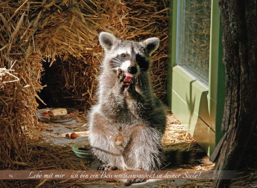 Lebe mit mir. Ich bin ein Bewusstseinsaspekt in deiner Seele