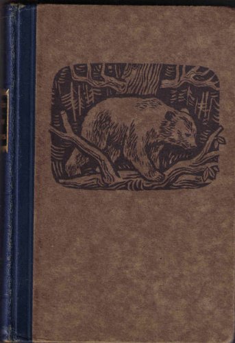 Augen der Wildnis : Tiernovellen