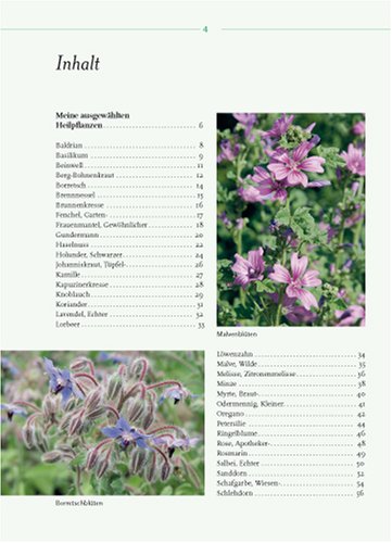 Heilkraft aus dem Garten: Geheimnisse eines Kräutergärtners