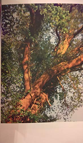 Zauber eines Augenblicks: Gedanken über das Leben und die Unendlichkeit