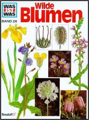 Wilde Blumen ( Was ist was Band 26 ) [D6w]