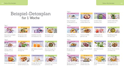 Detox - Das Rezeptbuch: Iss dich gesund!