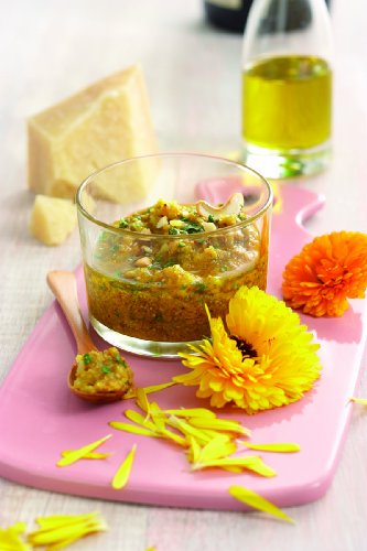 Kräuter von A-Z: Mit umfangreicher Kräuterkunde