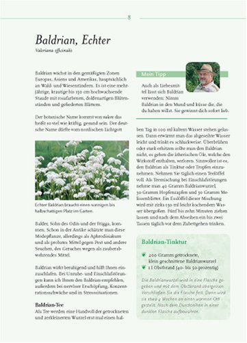 Heilkraft aus dem Garten: Geheimnisse eines Kräutergärtners