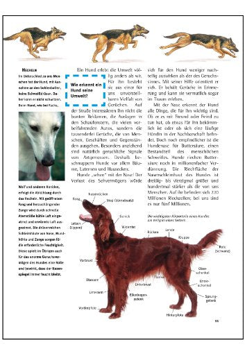 Was ist was, Band 011: Hunde