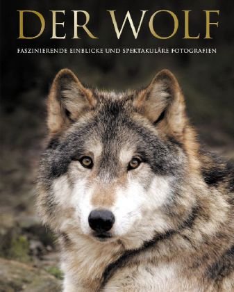 Der Wolf: Fasziniernde Einblicke und spektakuläre Fotografien
