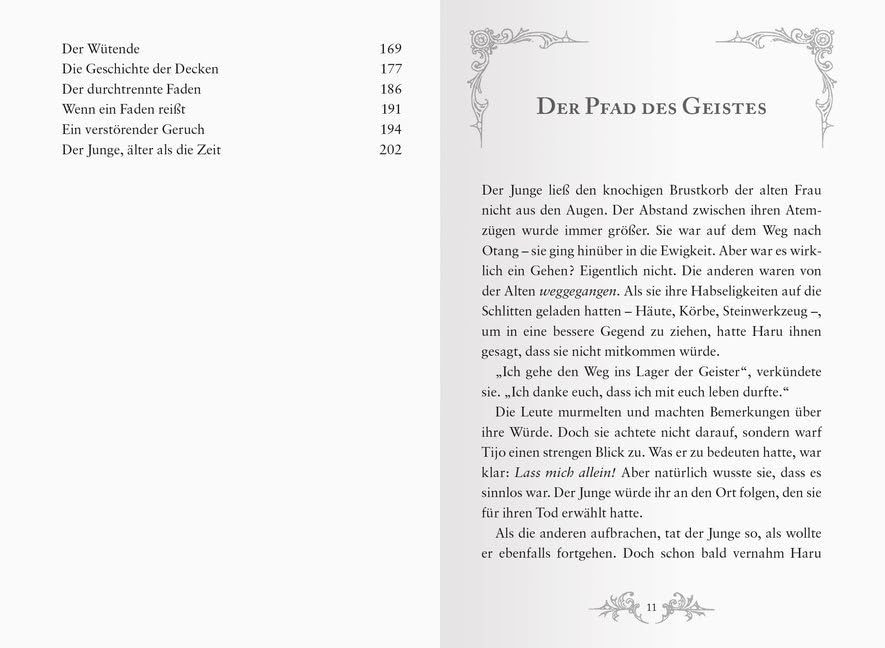 Die Spur der Donnerhufe, Band 2: Sternenfeuer (Die Spur der Donnerhufe, 2)