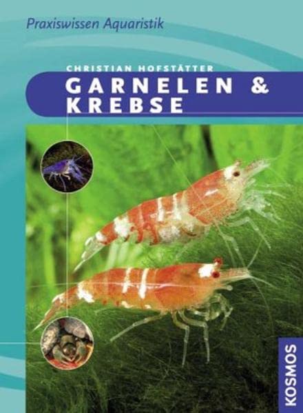 Garnelen und Krebse