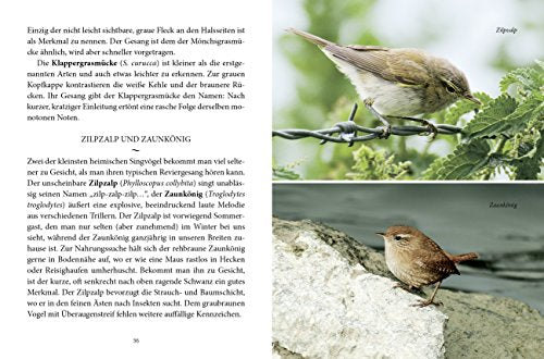 Das große kleine Buch: Unsere Gartenvögel und wie sie sich zu Hause fühlen
