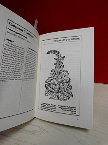 Das große Gesundheitsbuch der heiligen Hildegard von Bingen