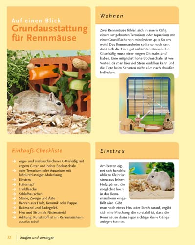 Rennmäuse: halten & pflegen, verstehen & beschäftigen