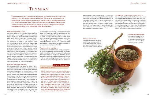 Meine Küche der Gewürze