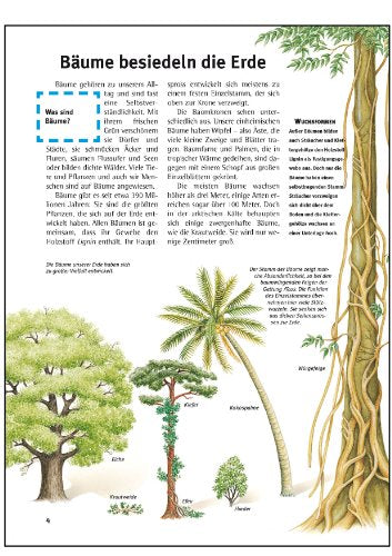 Was ist was, Band 031: Bäume