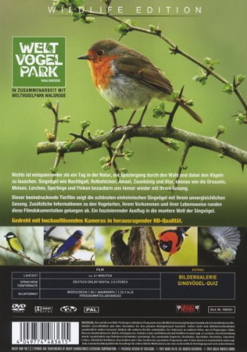 Heimische Singvögel