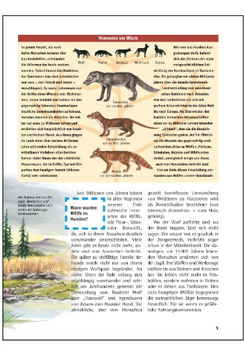 Was ist was, Band 011: Hunde