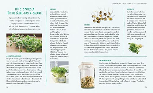 Säure-Basen-Balance: Der Schlüssel zu mehr Wohlbefinden